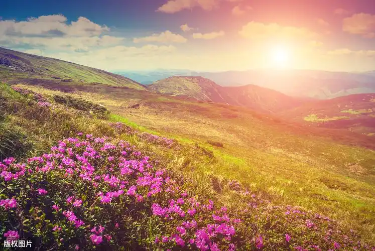 晨曦的诗句带有阳光感悟晨光普照的唯美诗句