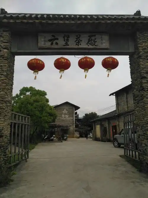 广西梧州六堡镇一日游!