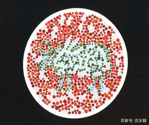 5张色觉测试图,最后2张,你能够识别出来吗?