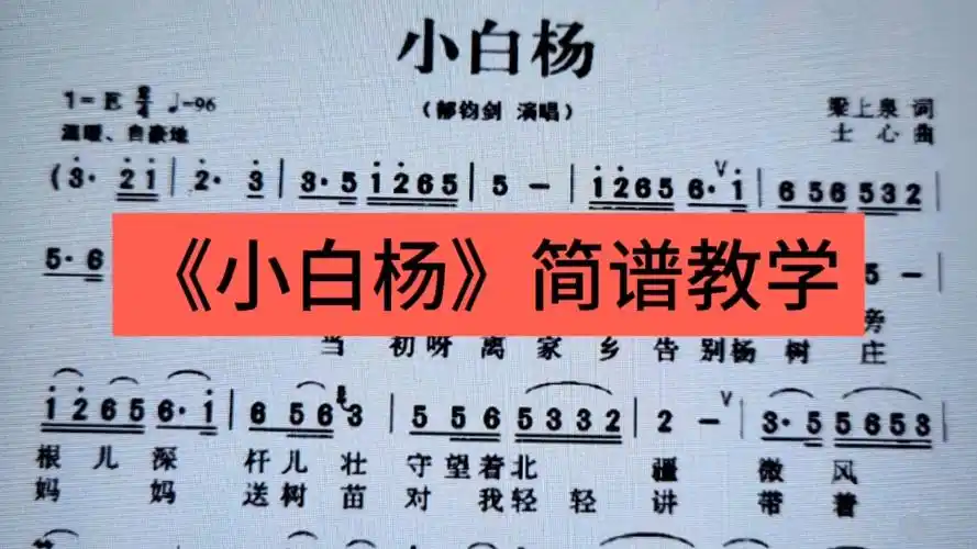 经典老歌《小白杨》简谱教唱,一起来学