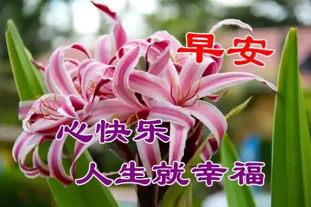 12月16日微信早晨问候大家早上好的早安祝福语图片暖心的早上祝福语