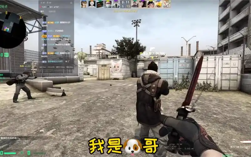 《你好我是狗哥之石家庄分狗》(csgo)