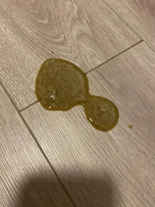 【讨论】猫子呕吐,这样是吐毛球吗(有图)