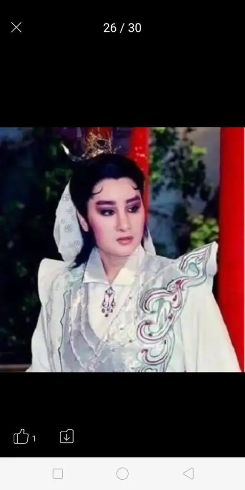 杨丽花歌仔戏图片!