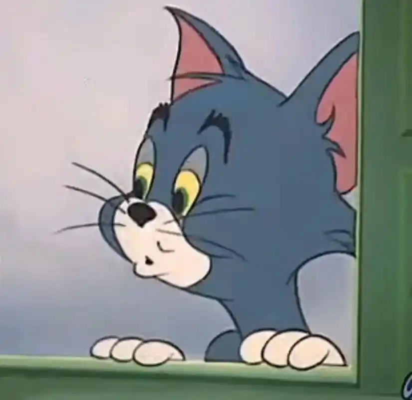 猫和老鼠 #表情包 来了～ - 抖音