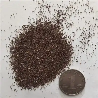 矮牵牛花的生长习性及种子价格