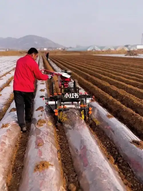 地膜覆盖机