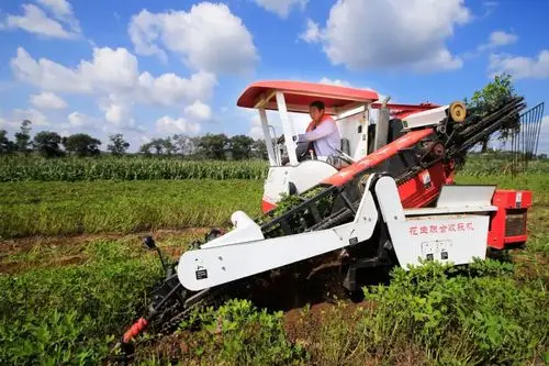 别眨眼秋收季节花生联合收获机现场炫技颠覆你的想象