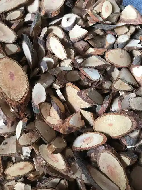 [金樱根批发]野生新货金樱根 金英子根 金樱蔃 新鲜金樱子根 脱骨丹