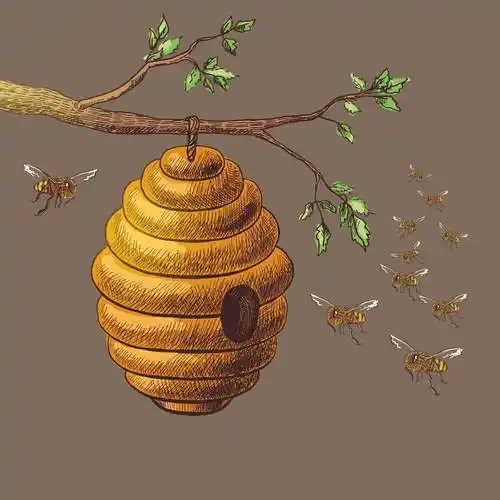 在广州灭马蜂灭蜜蜂清除马蜂窝方法,安全摘除蜂窝_蜂毒_攻击_区域