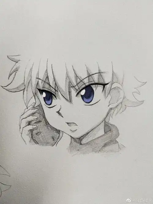 奇犽猫猫生日快乐