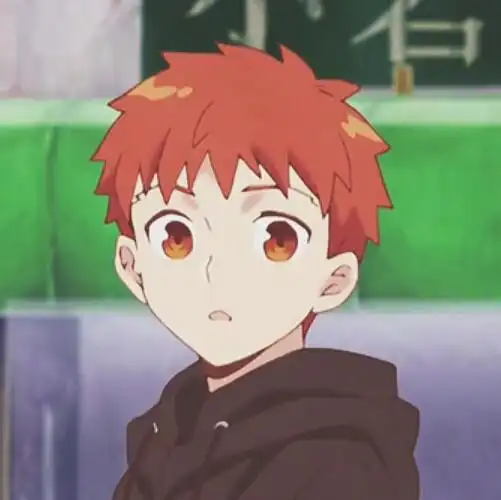 fate卫宫家今天的饭卫宫士郎