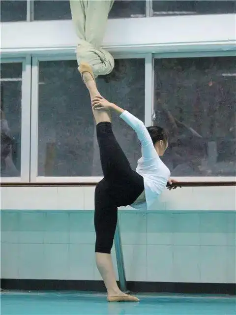 搬后腿傣族组合表演傣族组合表演大提琴演奏单簧管二重奏弦乐四重奏