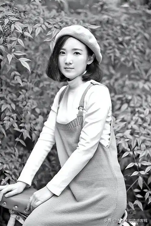 古风歌手司南资料