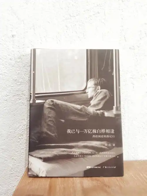 豆瓣81分追一趟自由人生的北国列车