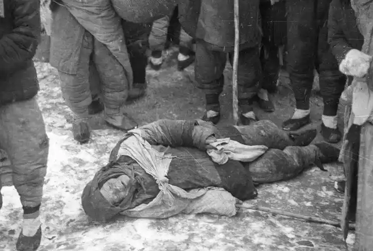 「1942河南大饥荒照片」18张照片触目惊心,树皮都已经吃光了