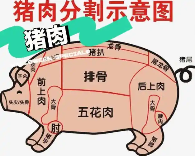 下面小编就为大家介绍猪肉中最值得购买的几块肉.