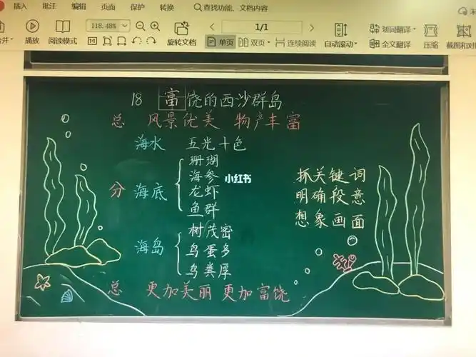 19海滨小城20富饶的西沙群岛