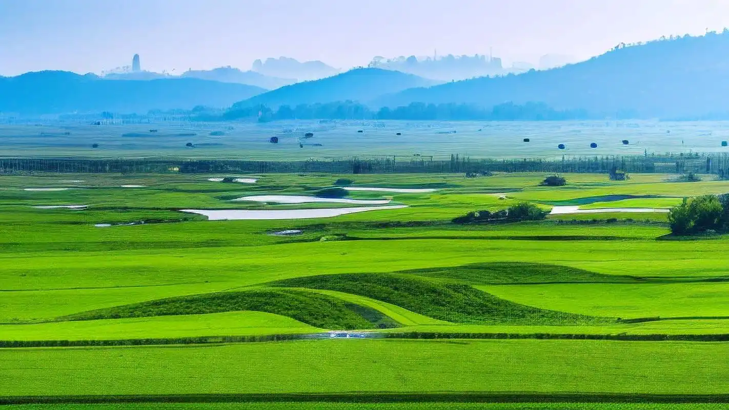 绿色草地背景图,清新气息扑面而来🍃