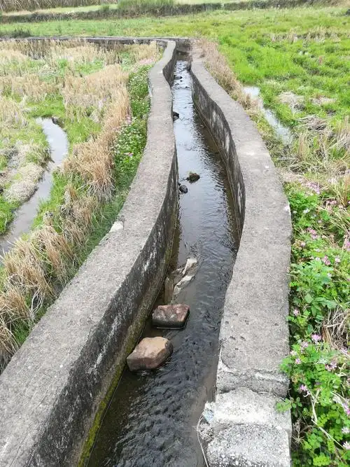 田间地头的小水渠