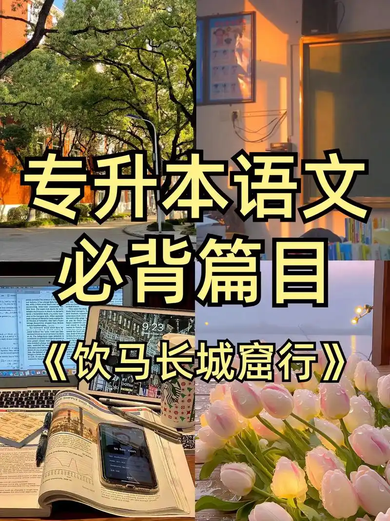 专升本语文必背篇目.将《饮马长城窟行》从原文,译文,注释,赏 - 抖音