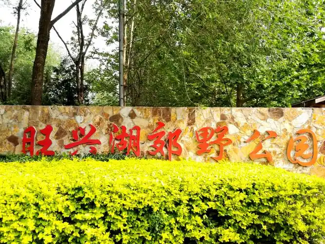 旺兴湖郊野公园 2019.5.10