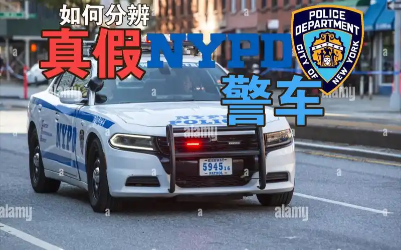 如何分辨真假nypd警车0303