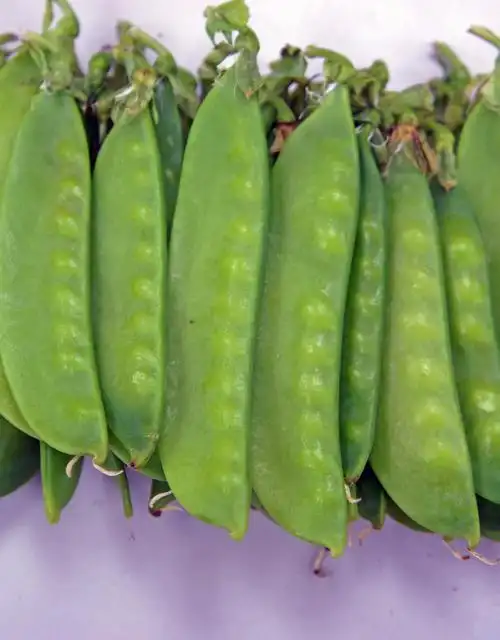 荷兰豆约250g±10%