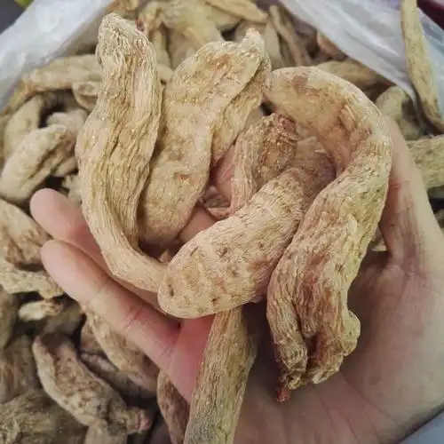 秦岭野生天麻干货 赛云南昭通干天麻500g纯天然一级无硫天麻可代