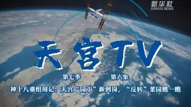 新华网_让新闻离你更近