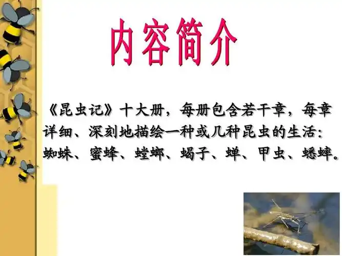 昆虫记竞赛题 审美形态课件 昆虫记考点 昆虫记读后感 昆虫记简殚
