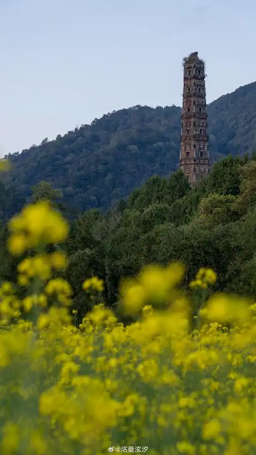 流花入梦 朗月同归  【天台山·国清寺·国保第五批】  国宝巡礼超话