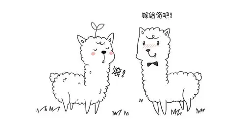 萌物院丨第一期:傲娇的羊驼(简笔画)