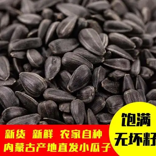 瓜子小瓜黑珍珠5斤毛嗑油葵生炒货零食葵花籽瓜子