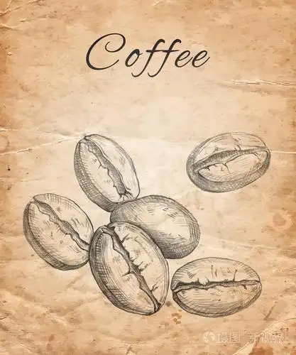 手工画的咖啡豆在老纸背景插画-正版商用图片11owbn-摄图新视界