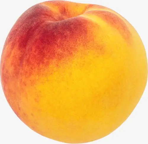 防晒季 夏天是一个需要加强防晒保护的季节哟