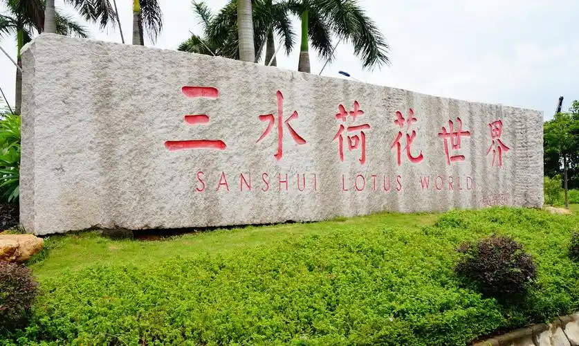 佛山三水荷花世界 - 三水游记攻略【携程攻略】