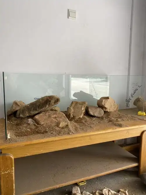 三湖慈鲷,原生溪流缸造景