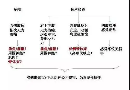 少年出现肢体无力和萎缩快速进展的情况,究竟为何?