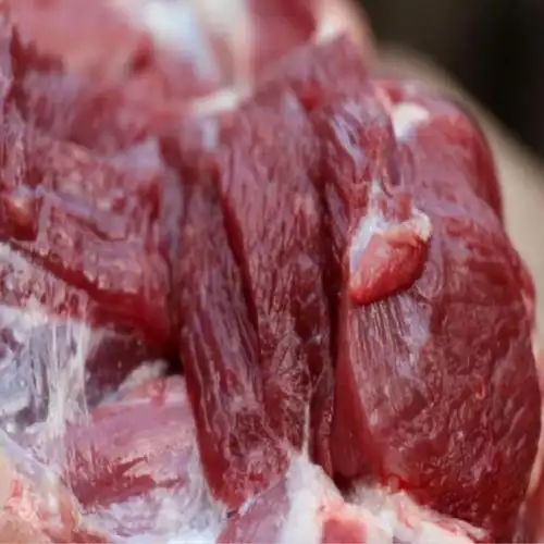 新鲜活羊羊腿肉羊腱子肉羊腿带羊骨髓生羊肉新鲜3斤