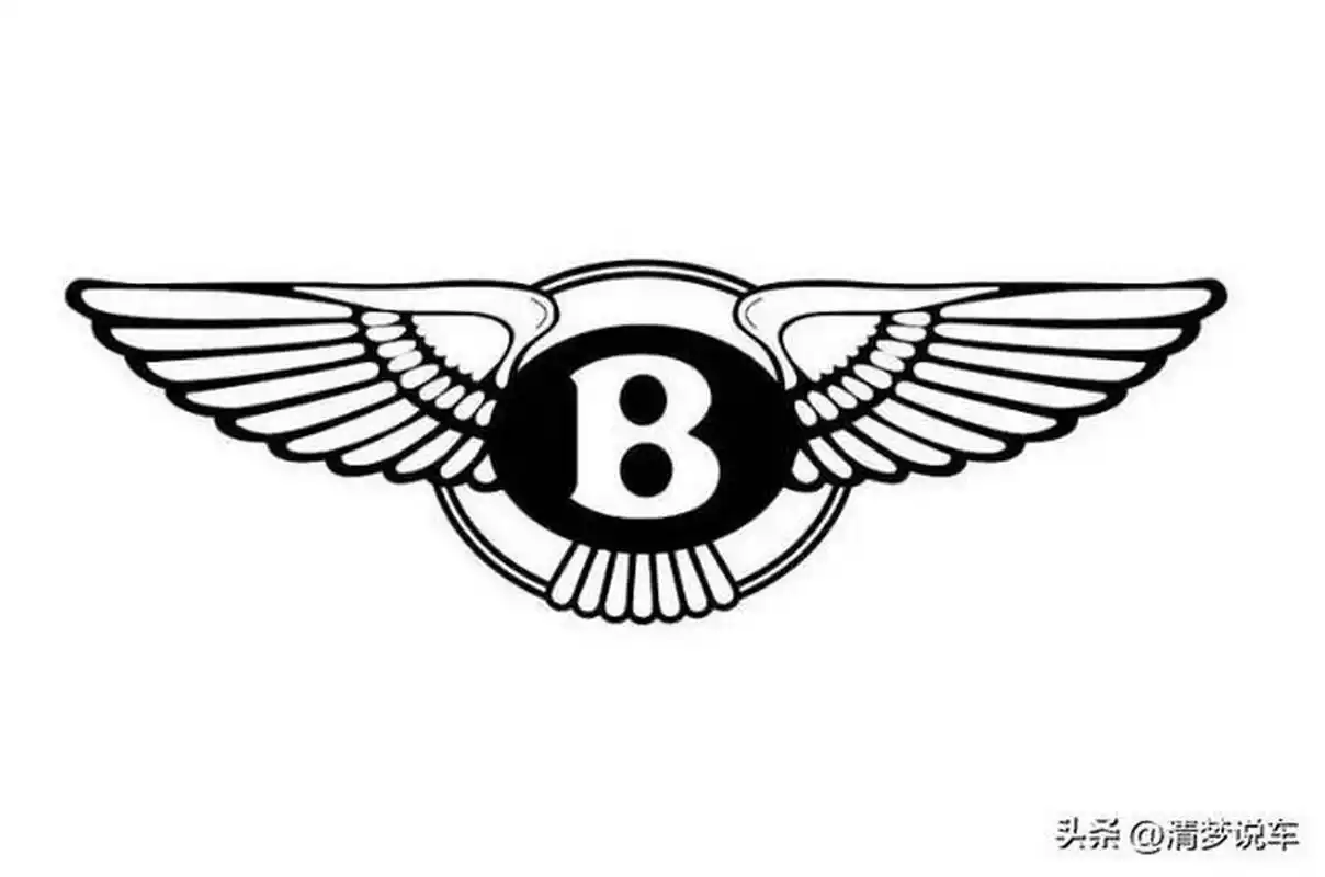 第十名:宝马宝马车标中蓝白相间的方格设计受到宝马总部巴伐利亚州