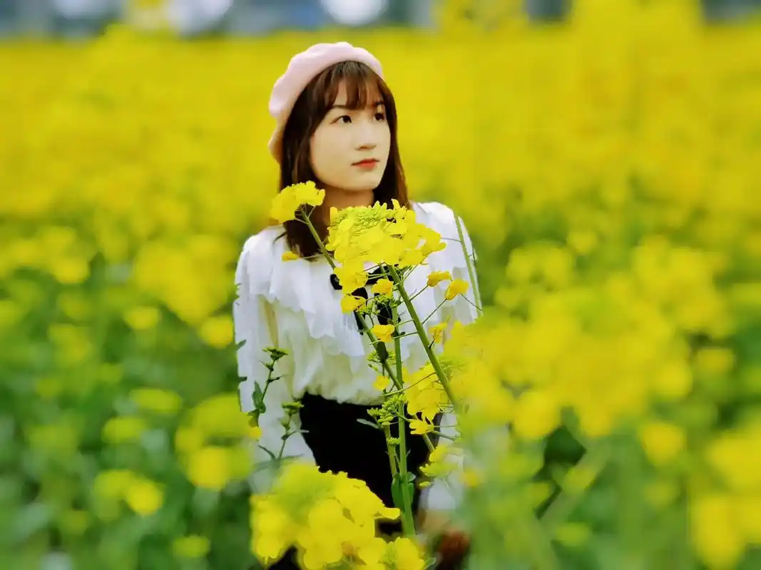 一组油菜花人像新拍