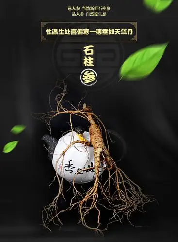 宽甸石柱参东北特产鲜人参13年林下野山参皂甙泡酒煲汤一等品包邮