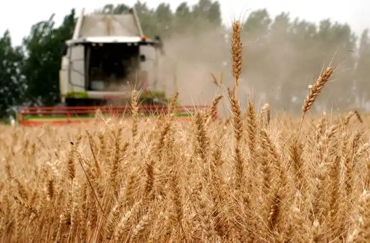 收获,在希望的田野上——写在2021年中国农民丰收节(2)