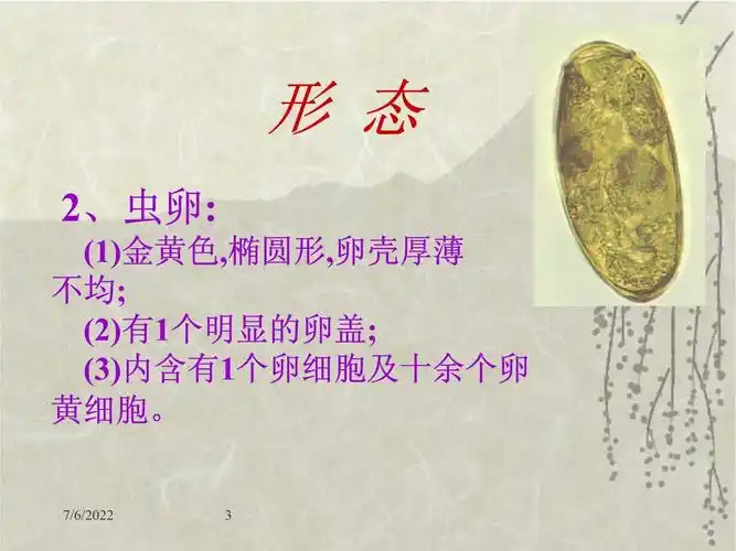 卫氏并殖吸虫精品课件