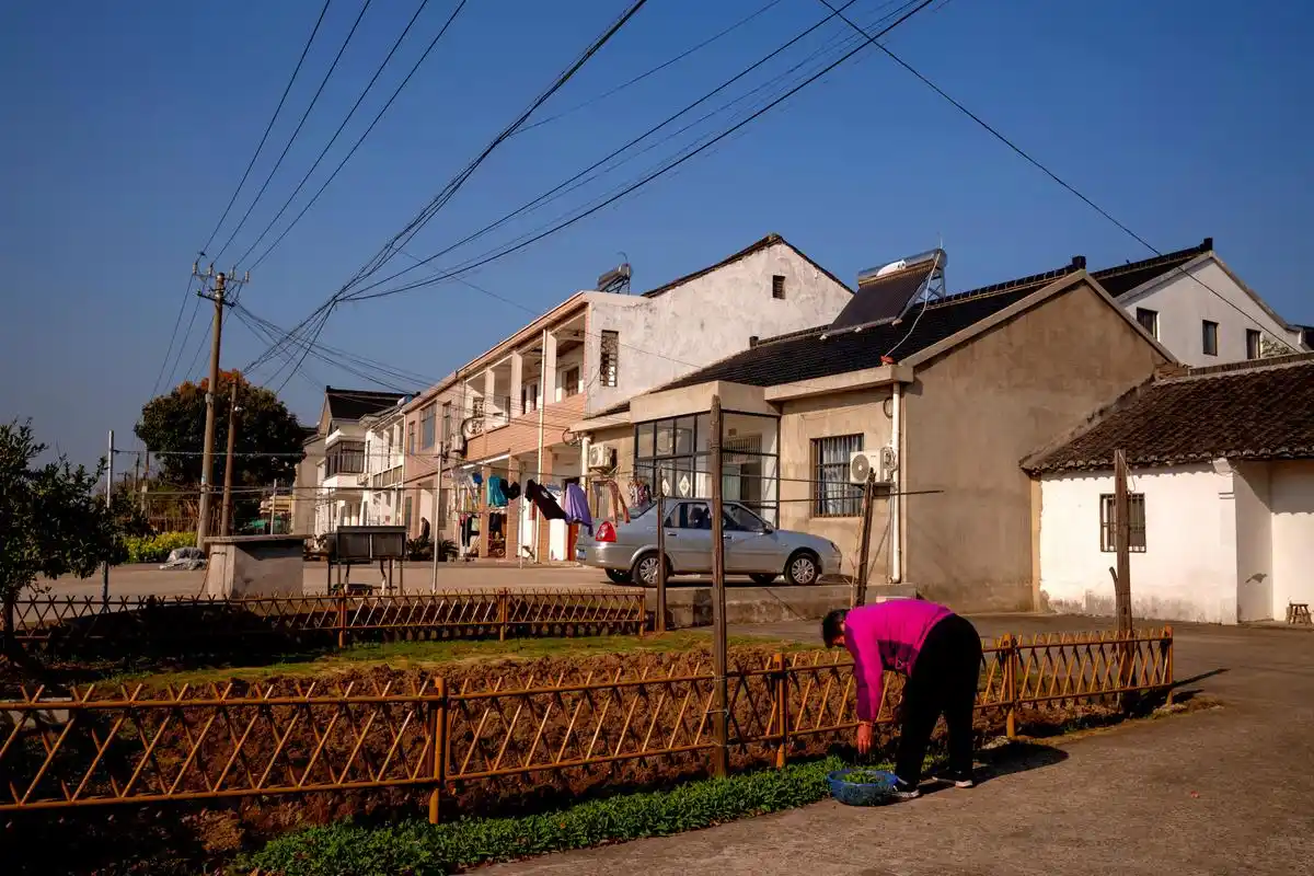 乡村一角  图片摄于:江苏省苏州市相城区望亭镇迎湖村 #摄影爱好者