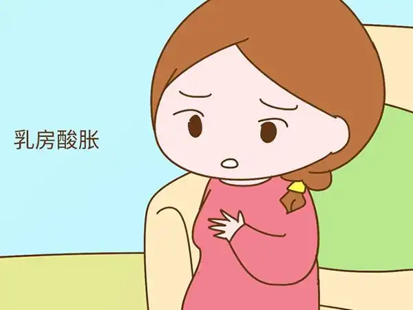 孕妇怀男宝和女宝乳房有什么变化