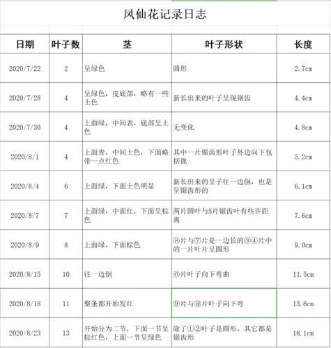 凤仙花记录日志 陈雨歌