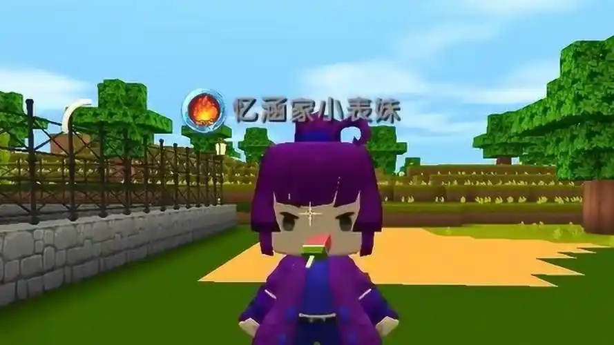 迷你世界:忆涵要打架了!小表妹一块小硬币成功阻止,这是什么操作