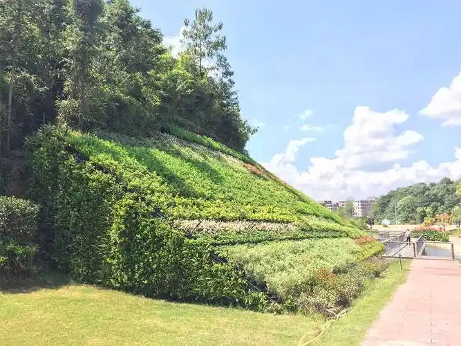 格润案例——萍乡聚龙湖体育公园边坡垂直绿化